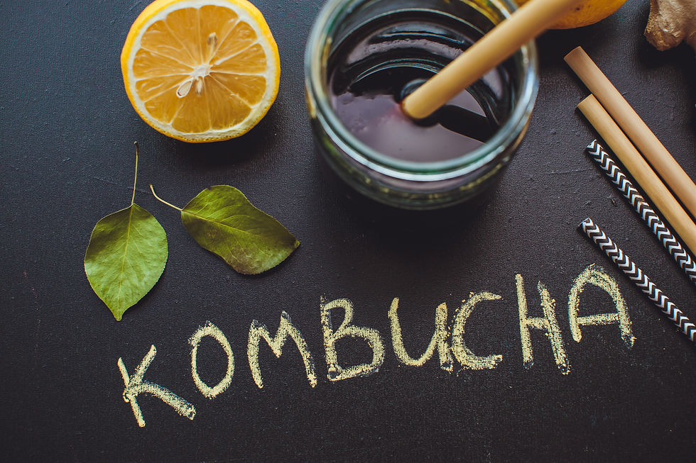kombucha - en gude drik
