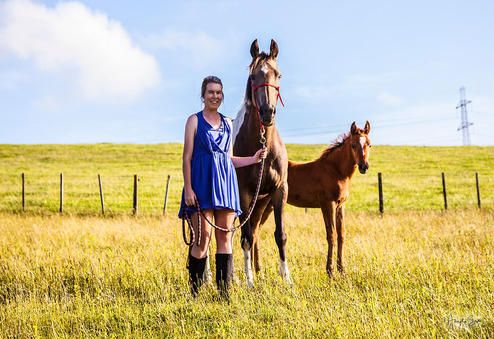 Thumbnail: On-Location Horse Session