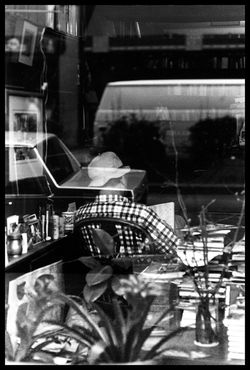 Scene Through a Glass #20