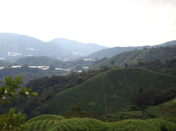 11754393_10153459458185842_64389923401657119_o_10153459458185842