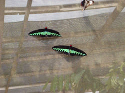 11754304_10153459459150842_8289451154264613677_o_10153459459150842