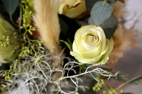 0018_Andrea-Oliver_11-11-2022.jpg