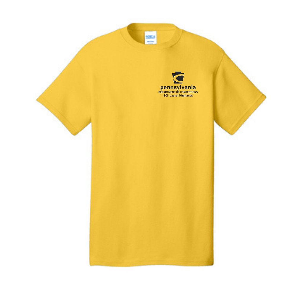 Thumbnail: Short Sleeve Tee *100% cotton* (D2 SCI Sale Winter 24)