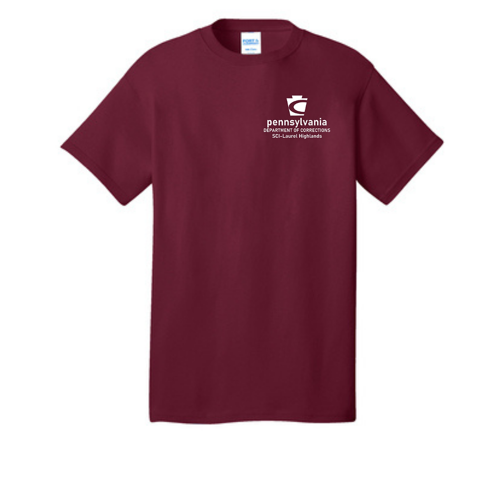 Thumbnail: Short Sleeve Tee *100% cotton* (D2 SCI Sale Winter 24)