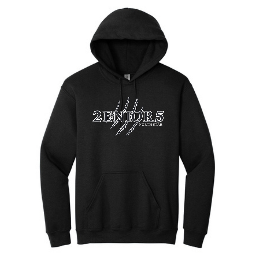 Black Hooded Sweatshirt (NS 2025 Seniors)