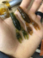 Thumbnail: Ned