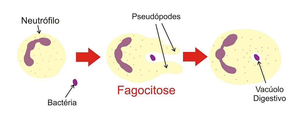 ree