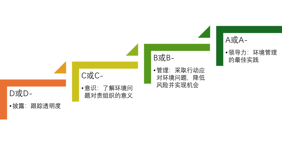 图1：CDP 的基本标准评分等级