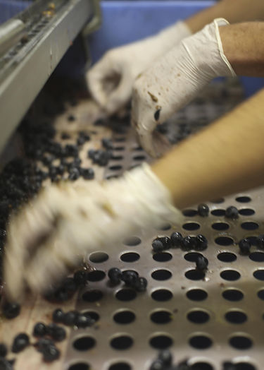 Sorting-min.jpg