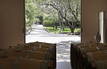 Winery-min.jpg