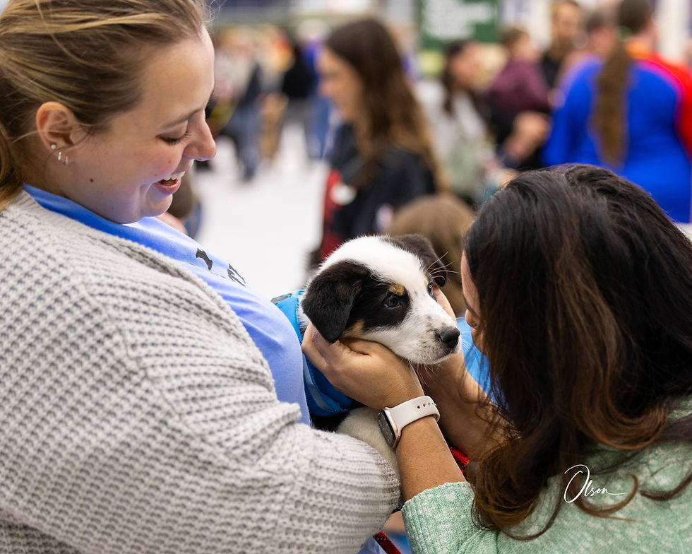Woman holding a black and white puppy at the pet expo rockford.