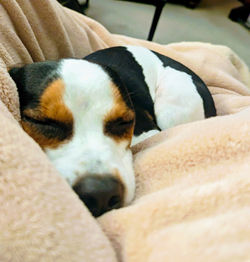 PXL_20231114_040848618