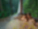 exquisite-experience.jpg