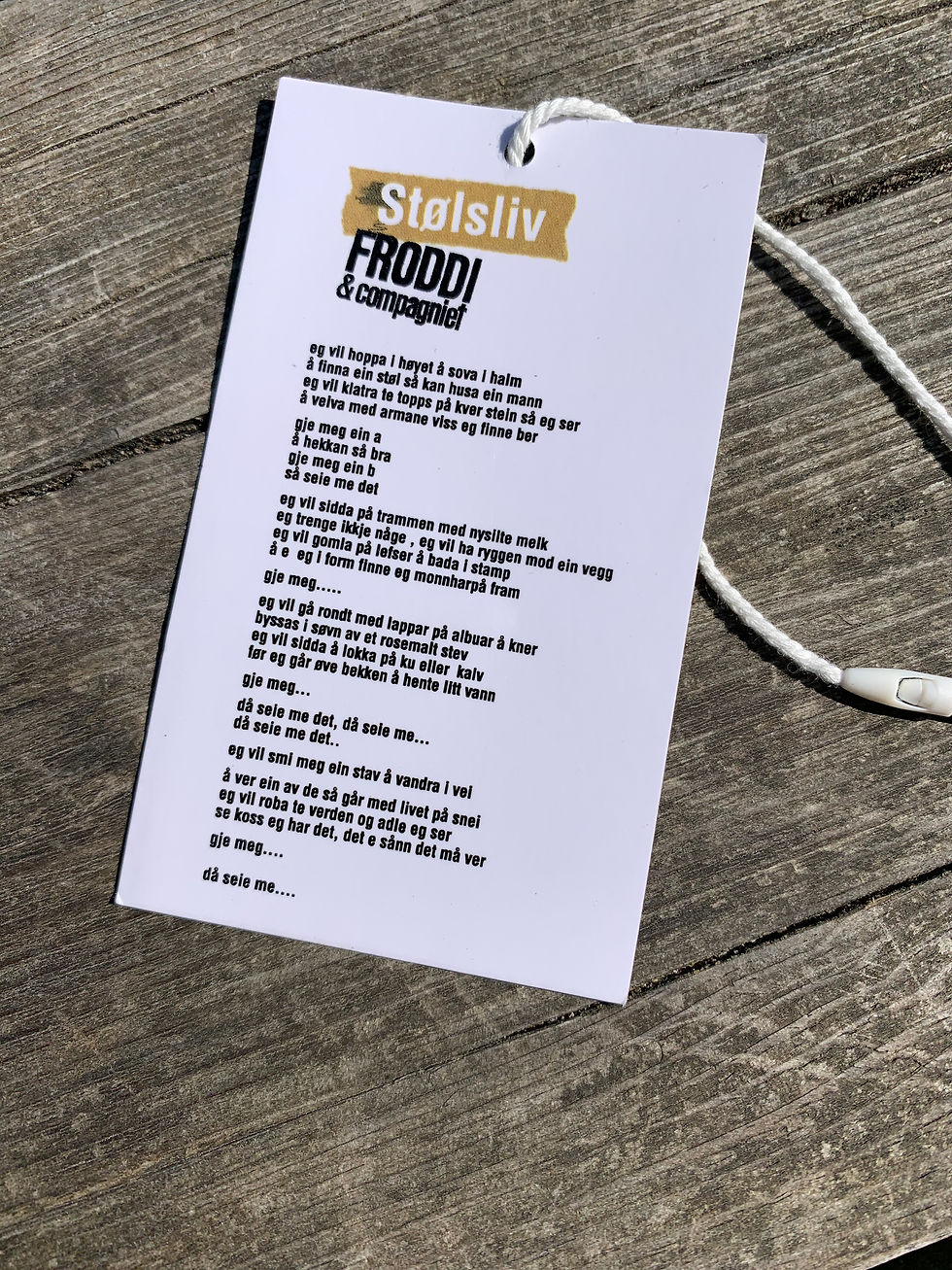 Miniatyrbilde: FRODDI & compagniet   t-skjorte