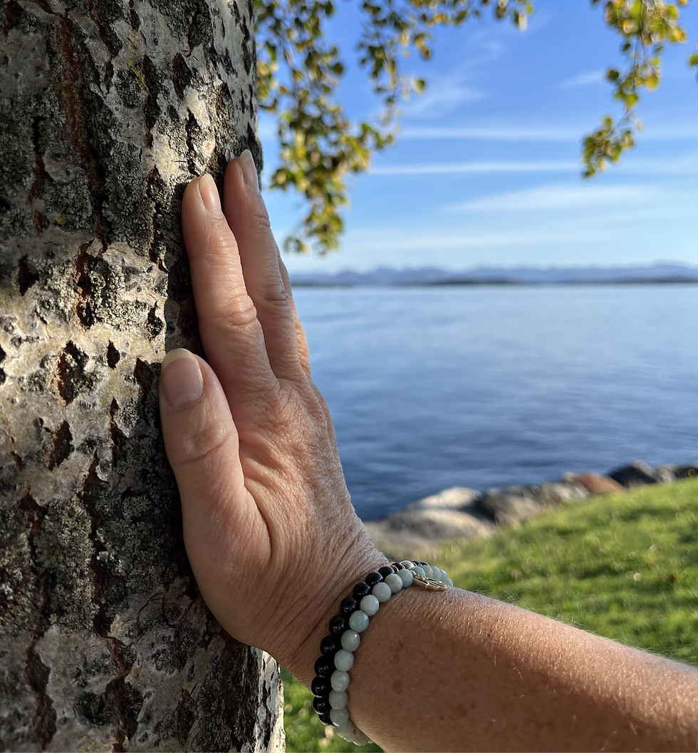 align and shine, bygge en hverdag med mer vennlighet, tydeligere grenser og respekt for kroppens behov