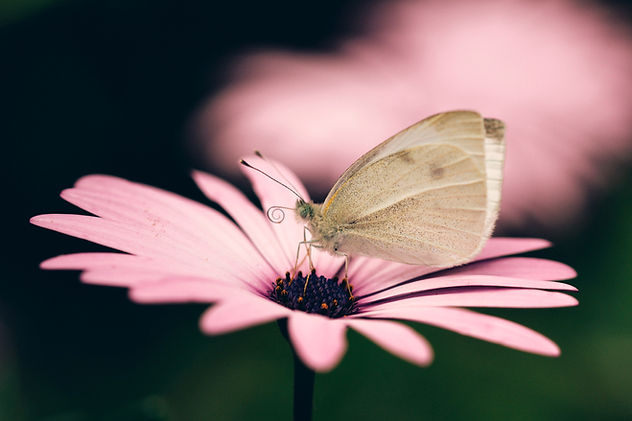 bogomil-mihaylov-g7x8QV6rPx4-unsplash_edited.jpg