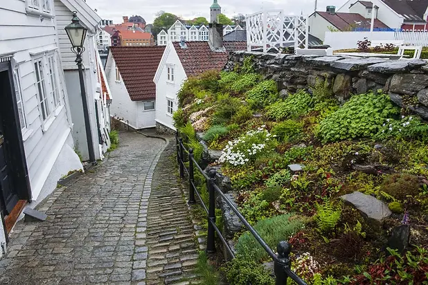 gamle-stavanger.webp