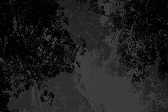 BLACK & WHITE NO.3 80 x 120 cm © Siv Sivertsen.jpg