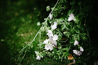 House of Bothania August 2024 © Fotograf Siv Sivertsen-120.jpg