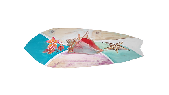Coquillage.png