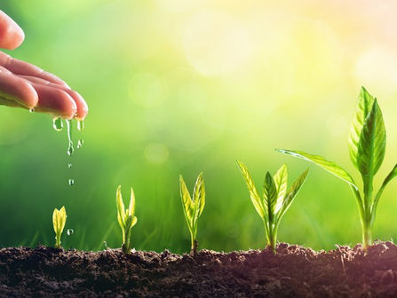 5 BIBLE VERSES TO HELP YOU BUILD YOUR FAITH