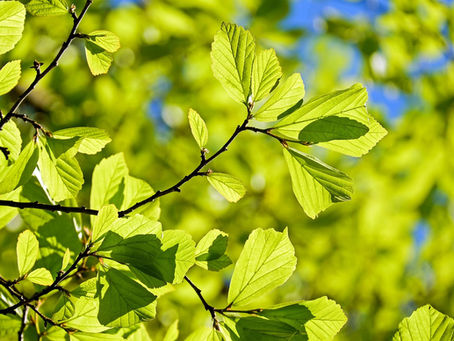 3 Things To Do Out In Nature