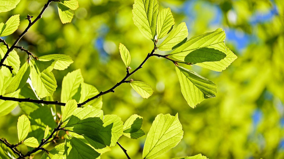 3 Things To Do Out In Nature