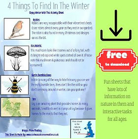 Free Downloadable Infomation:activity sheets.jpg