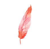 1.png