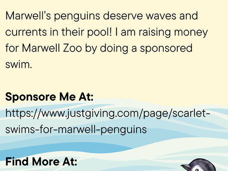Progress For Penguins: 4 (Challenge Completed)