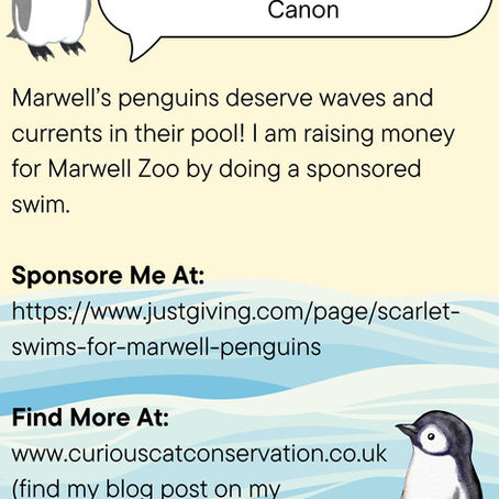 Progress For Penguins: 2