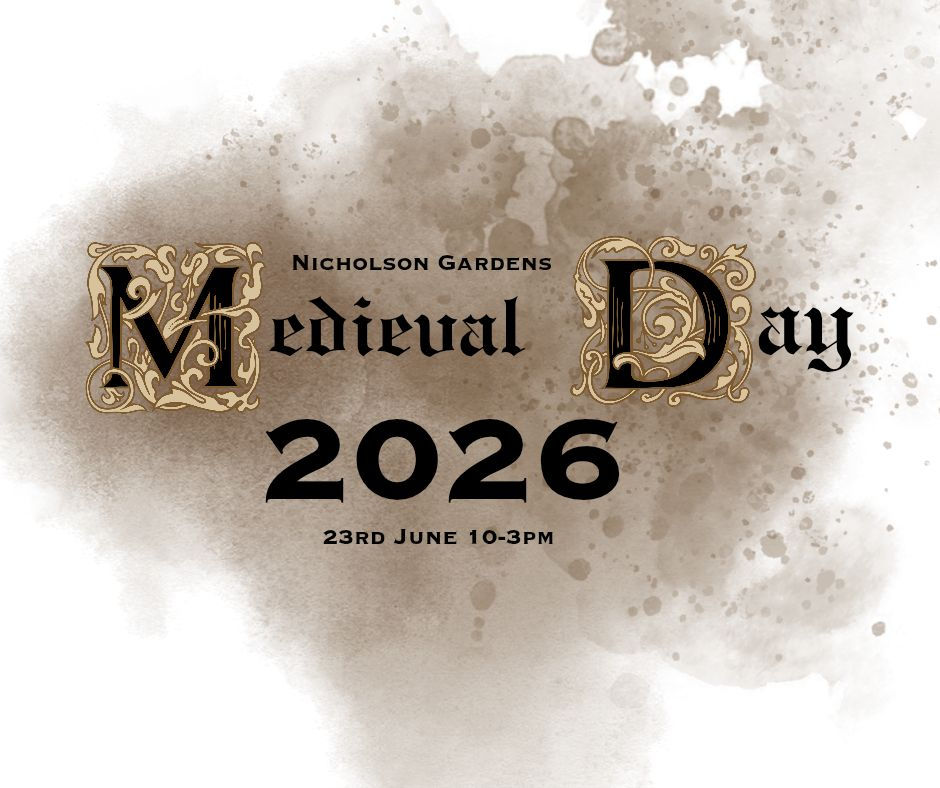 Medieval Day!
