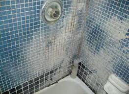 a shower showing the effects of water hardness