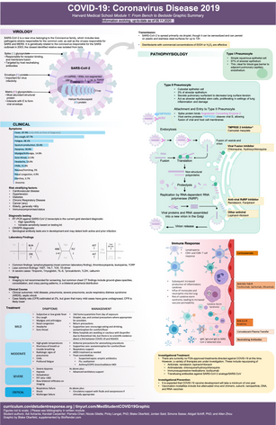 COVID-19 Module 1 Graphic Summary.png