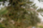 DSC06202.jpg