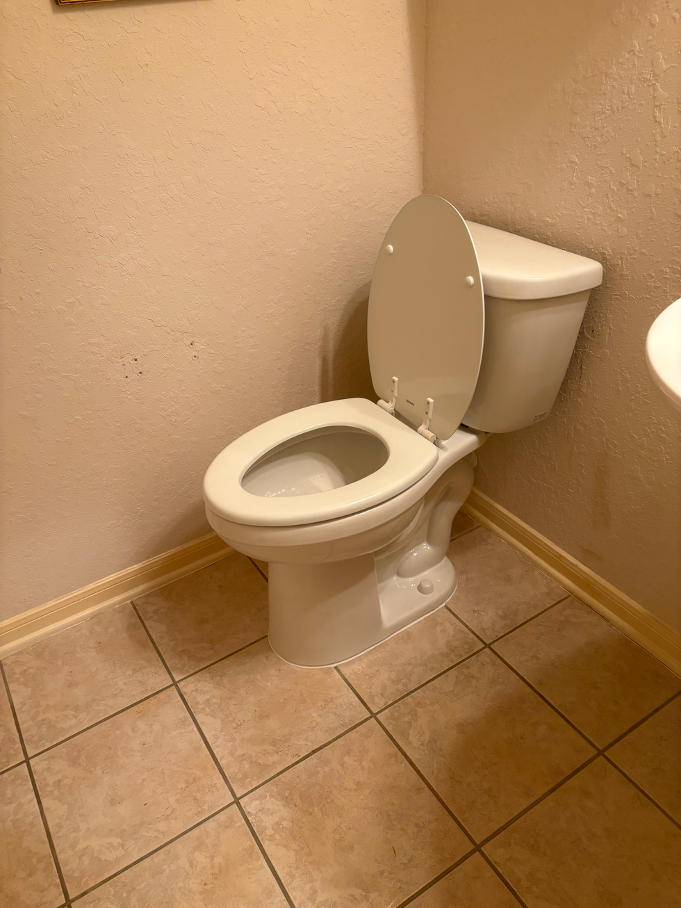 new toilet