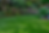 edited004.png