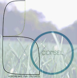 LOGO%2520BO%2520conseil_edited_edited.jp