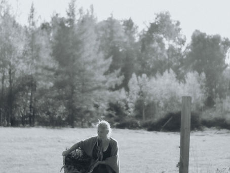 Tradition nordique: Samhain