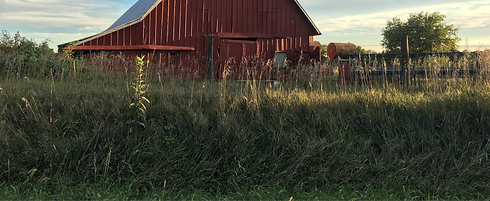 Horse Ranch_edited.png