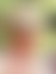 Remembering Robert Duvall's Iconic Roles in Westerns and His Legacy as Gus McCrae in Lonesome Dove