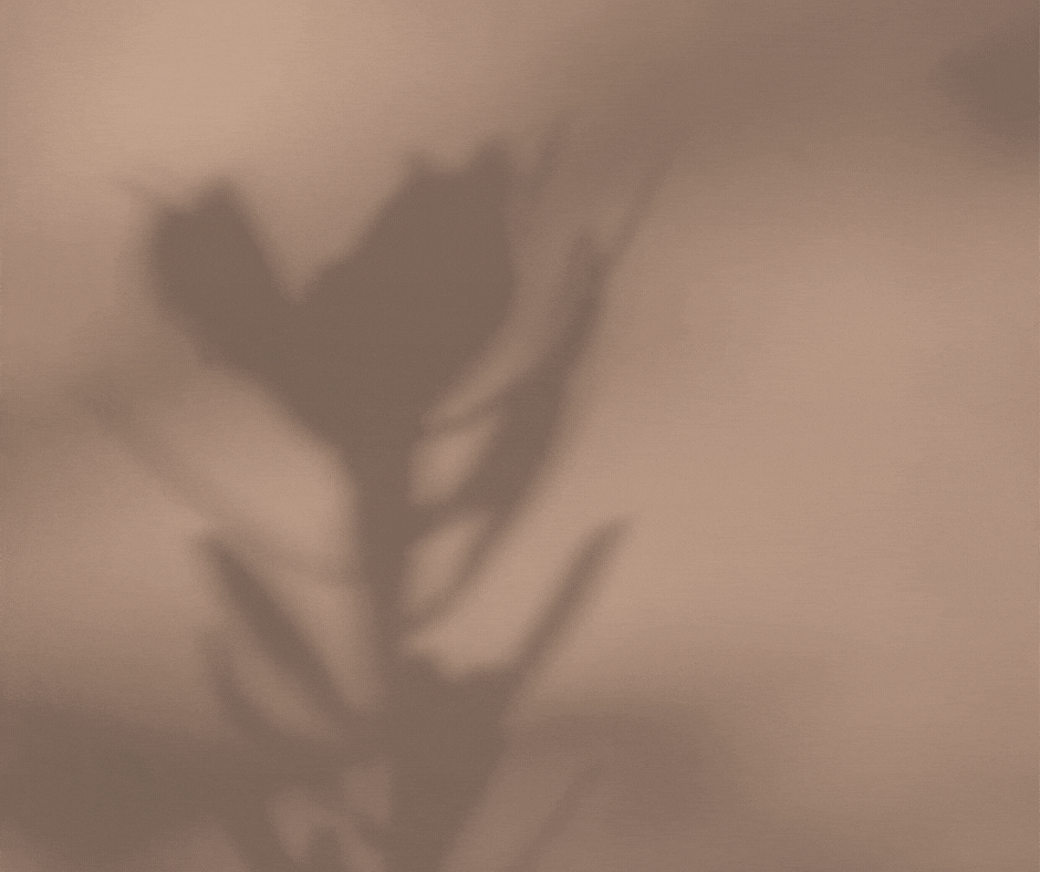 Free Networking Happy Hour