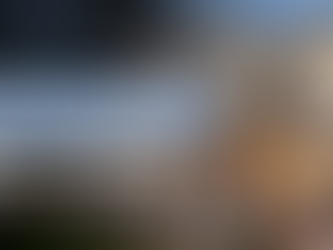 Header image with a house and a banner saying "Top 10 Best Real Estate Brokers in Arlington, Virginia"