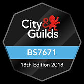 city-guilds-18th.m9x0kp.logo.jzf.jpg