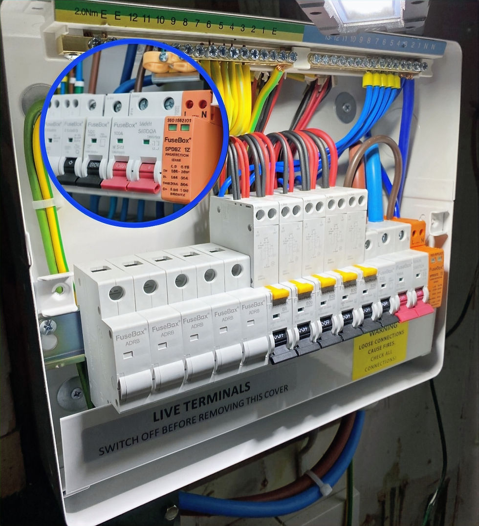 Untitled (14)_edited_edited.jpg