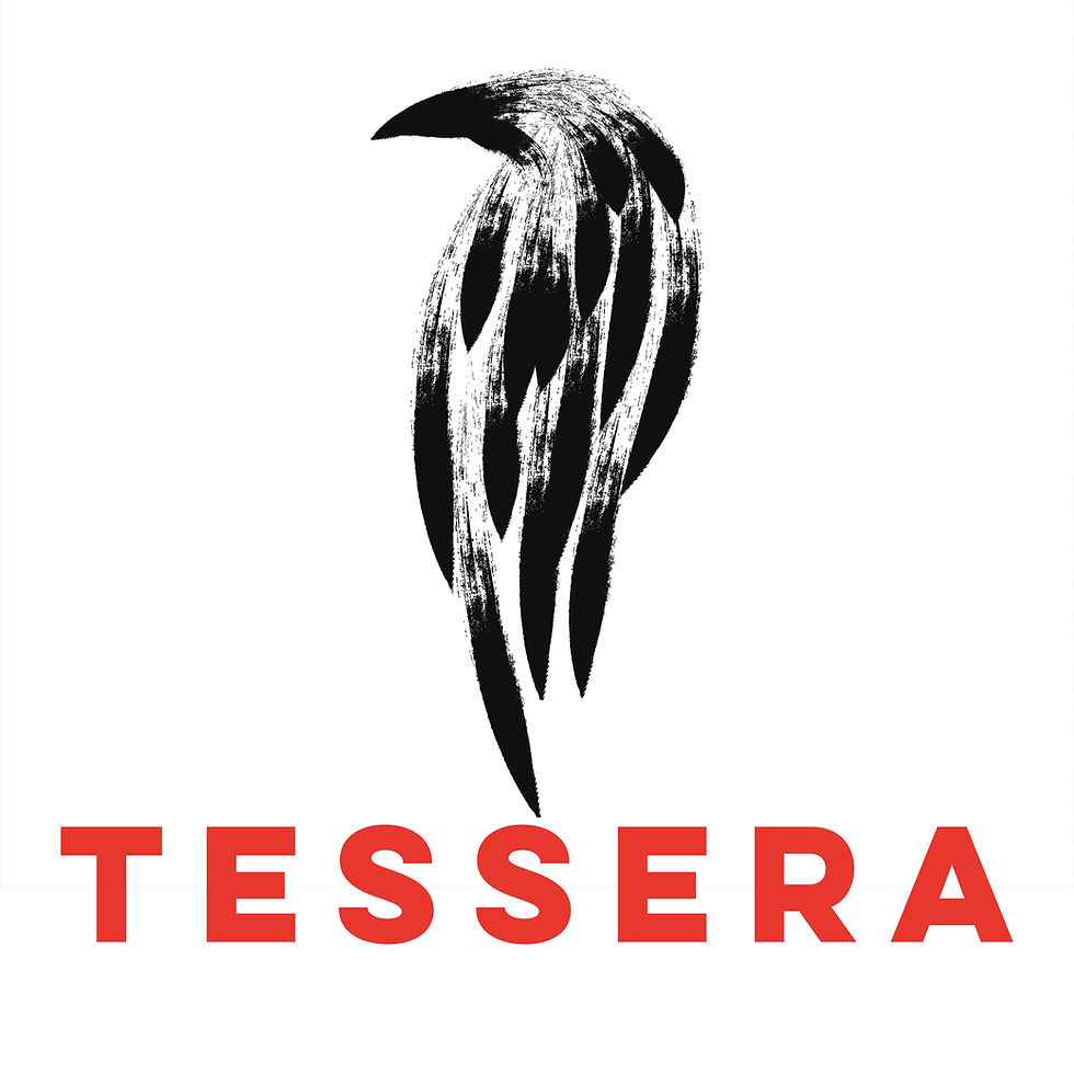 Tessera knows how to rank and why you aren't ranking. Knowing why is the key. Smart like the crow.