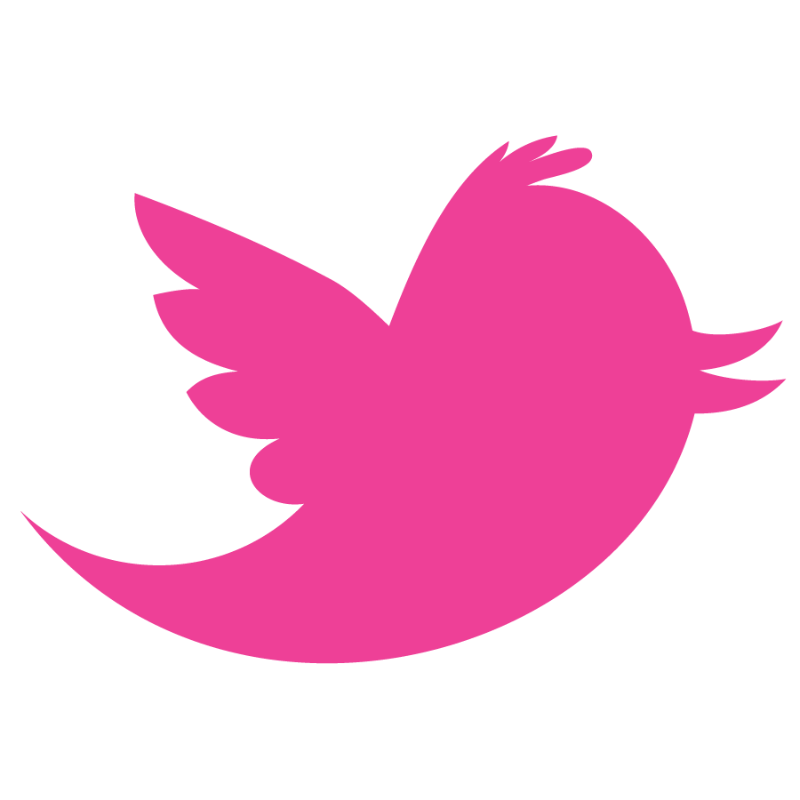 Pink Twitter Logo