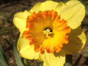 Beating the Texas Heat: 10 Expert Tips to Prepare Your Home for Summer