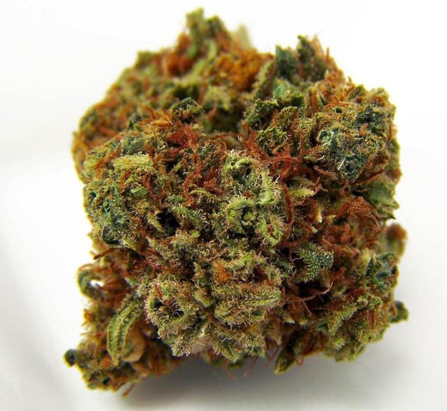 Harlequin Cannabis Strain