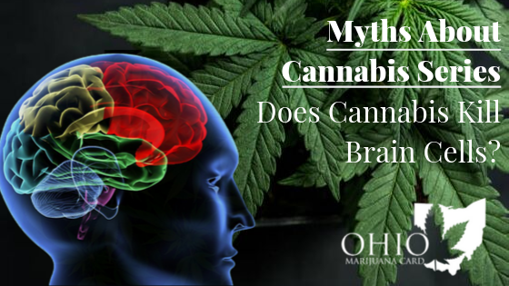 Myths About Cannabis - Does Cannabis Kill Brain Cells?